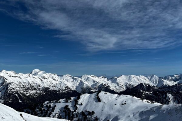 IMG-20250115-WA0021