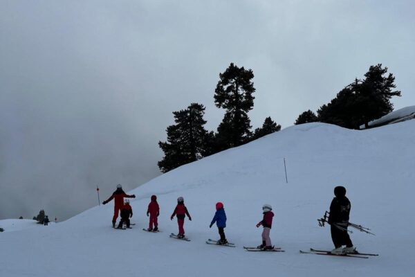 IMG-20250115-WA0024
